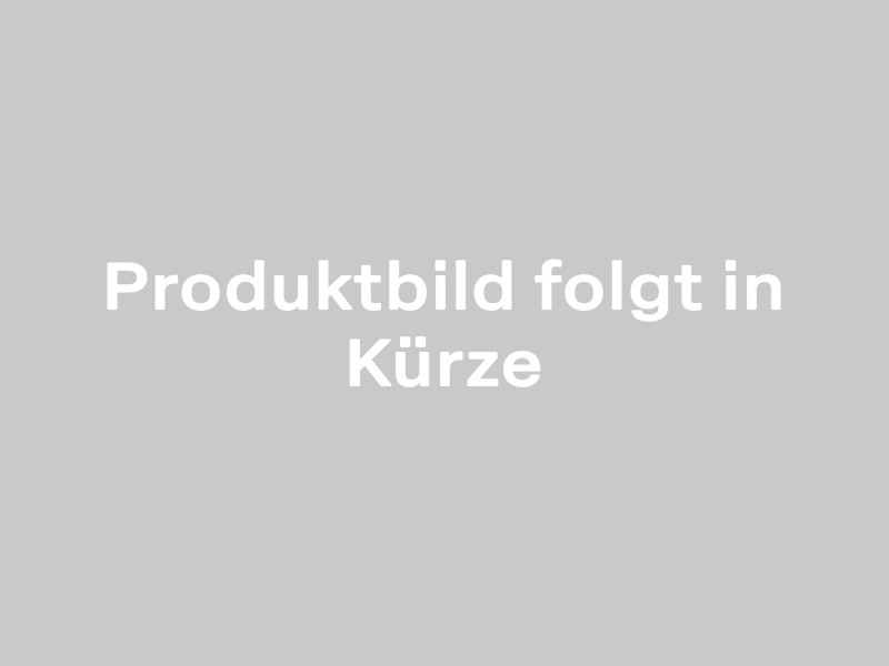 Rutschhemm. Podest 1000x250 30/10 30/2